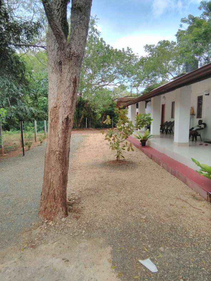 Hotel Amadi Rest Kataragama Exterior foto